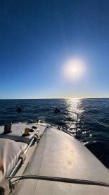 Incredible experience 