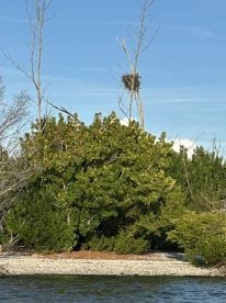 Great experience, tailored to our expectations! Captain Isaiah was great!