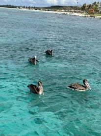 Alex and Kelly were wonderful!