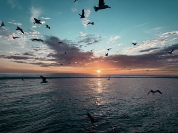 Great Trip with Captain Jon