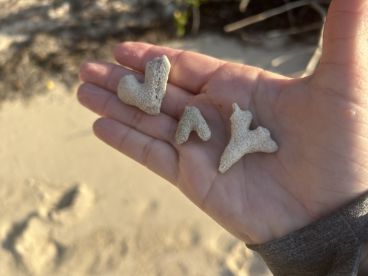 Sergio attention to details for our family 