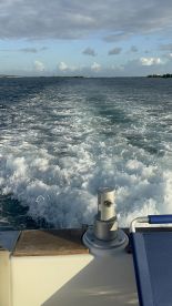 Amazing company who treats us as their family