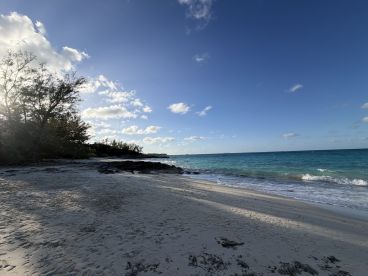 Brilliant boat ride!!