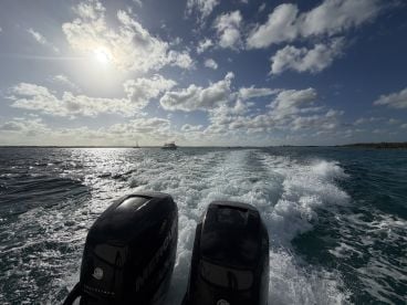 Brilliant boat ride!!