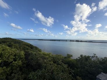 Brilliant boat ride!!