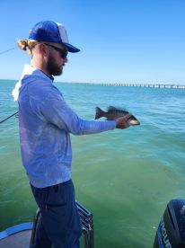 Great way to spend Christmas.