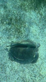 Great trip with Capt Lano!