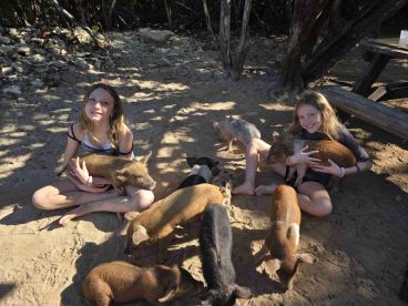 Had the best day with the pigs and sea turtles