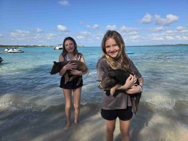 Had the best day with the pigs and sea turtles