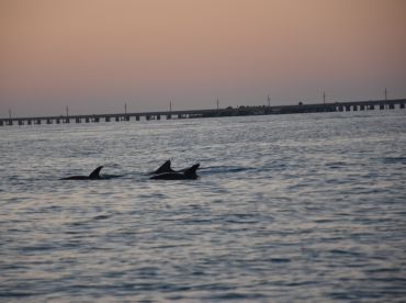Great Captain, Great Boat, Great Trip