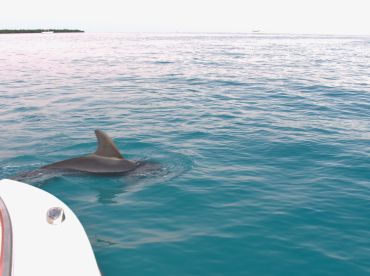 Great Captain, Great Boat, Great Trip