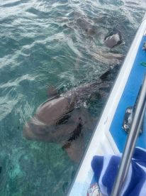 Best Belize day ever!!