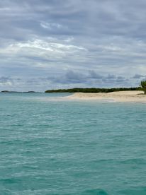 Great day with captain Jean Michael!!!