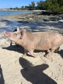 Great crew who made our vacation the best