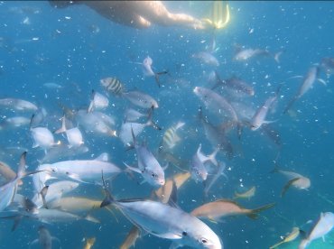 Shipwrecks and more....