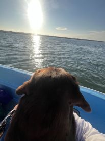 Thank you for a wonderful trip