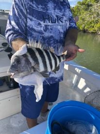 Boating with Captain Brad Hurd 