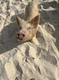 Beautiful day on the water!