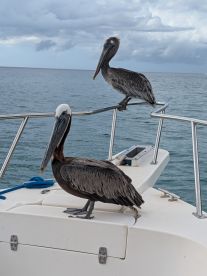 Boat trip in Aguadilla 