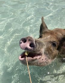 Unforgettable Experience