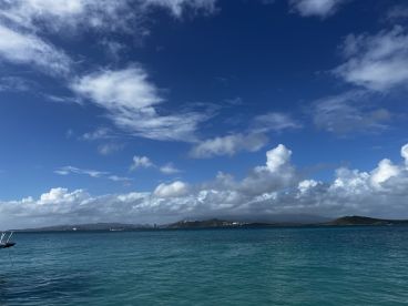 Great way to spend the day!