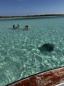 Can we go again tomorrow?