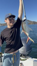 Great boat trip from playa del coco