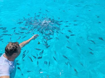 Perfect Snorkeling-Tour