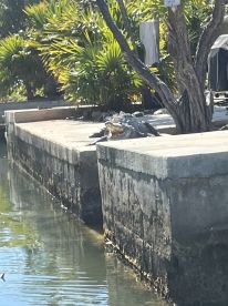 Great Captain, Great Boat! \ud83d\udea4 