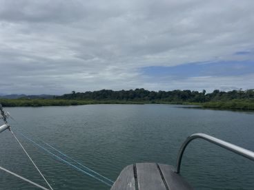 Really great day at Dolphin Bay