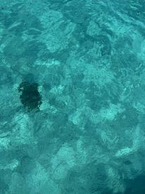 Captain Martin and Crew 