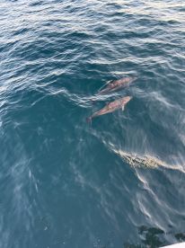 Full day on the water 