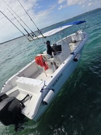 Went to see the pigs 