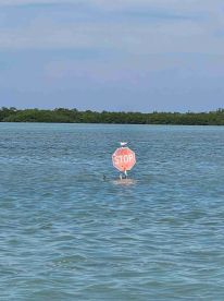 Fun family adventure!