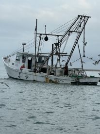 Wonderful experience