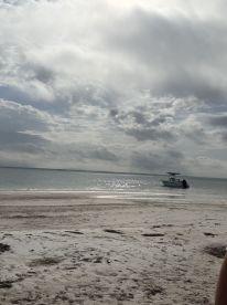 Captain Steve was excellent!!! 