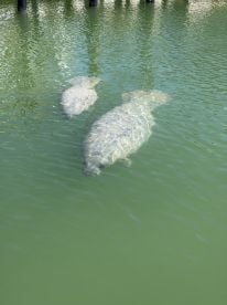 Amazing day with Scott!!