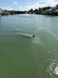 Amazing day with Scott!!