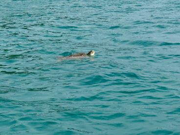 A Perfect Private Boat Day \u2014 Relaxing, Thoughtful, and Unforgettable