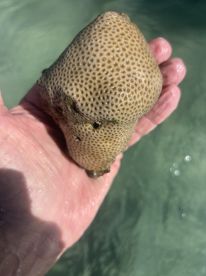 Great experience! Muy Bueno!