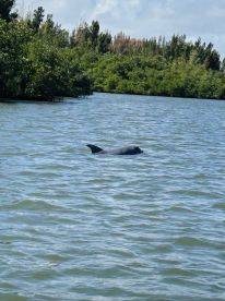 Awesome experience with excellent captain.