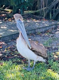 Awesome experience with excellent captain.