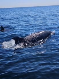 captain kevin was the best! 