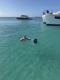 Jace is on the case! 