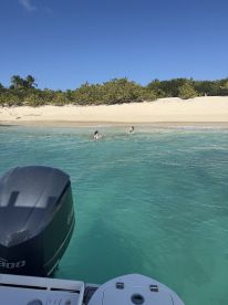 Jace is on the case! 