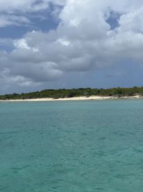 Jace is on the case! 