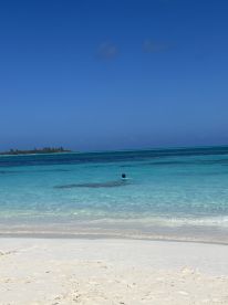 Book this for a cruise ship excursion 