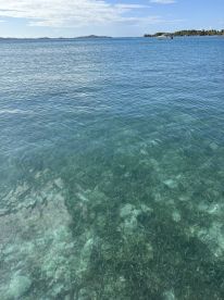 Turtles and sting rays. And lunch!