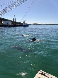 Best Boat Trip EVER! 