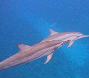 Boating with Discovery Fef